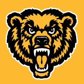 2020 Team Previews: The Mahanoy Area Golden Bears @mahsathletics – PA ...