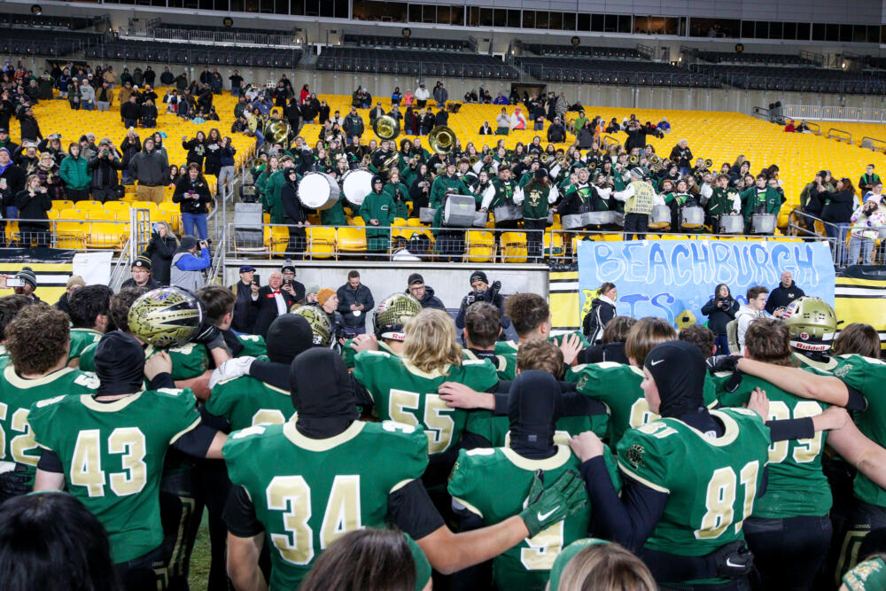 Year of the Leopard: Belle Vernon dominates H-S All-Area Football